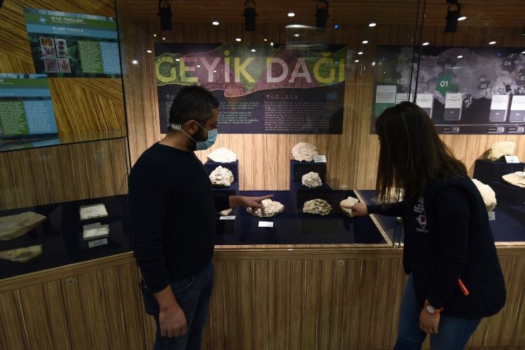 Konya Bilim Merkezi’nde “Fosil-Taş-Mineral” sergisi