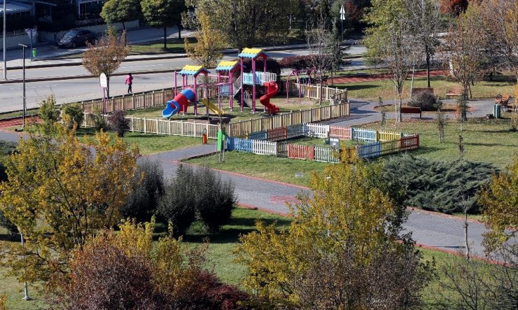 Çankaya Parklarında köpeklere de yer var