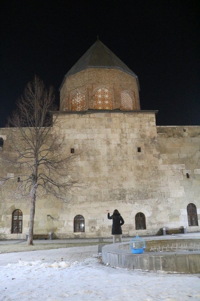 Dondurucu soğukla saatlerce kaybolan papağanı aradılar