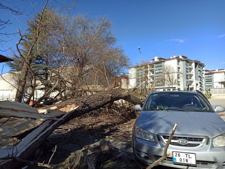 Eskişehir’de rüzgârın şiddeti saate 89 kilometreye ulaştı