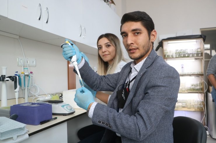 Bilim adamından çiftçilere kuraklığa karşı önemli tavsiyeler