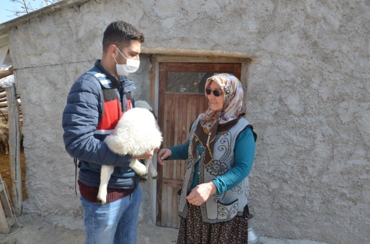 JASAT ekipleri koyunları çalınan şehit annesini mutlu etti