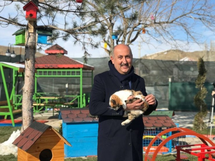 Engelleri kaldıran ’kedi köyü’
