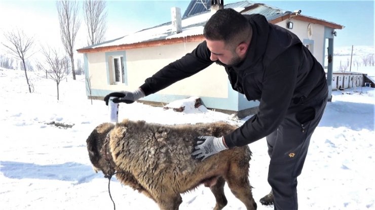 Türkiye’nin en yaşlıları arasında, yıllara meydan okuyor