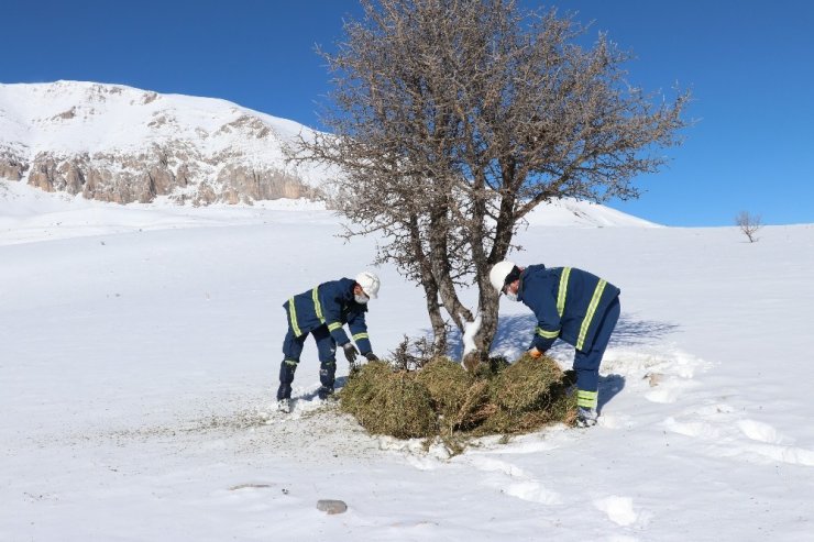 Hem arıza giderdiler hem de yabani hayvanları doyurdular