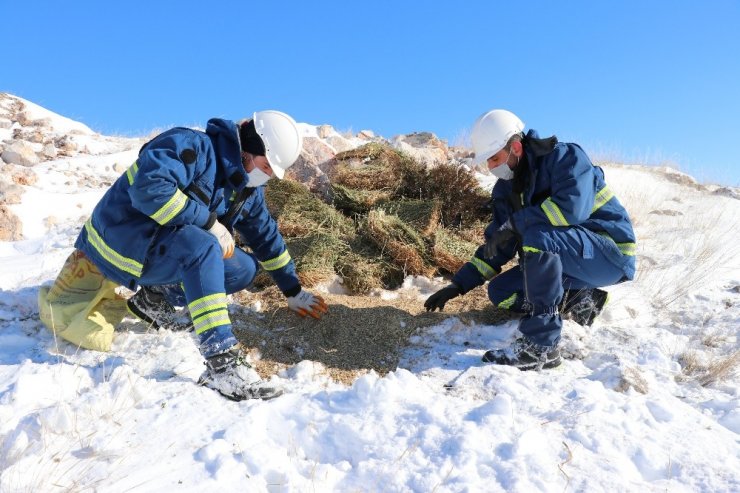 Hem arıza giderdiler hem de yabani hayvanları doyurdular