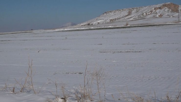 Aksaray’da çiftçilerin umudu bahar yağmurları oldu