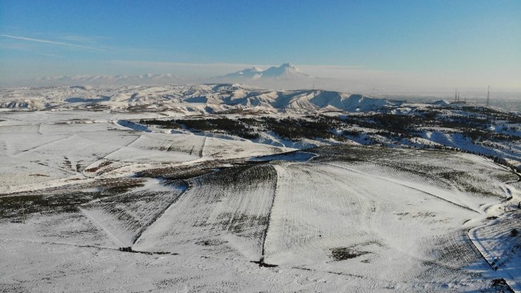 Aksaray’da çiftçilerin umudu bahar yağmurları oldu