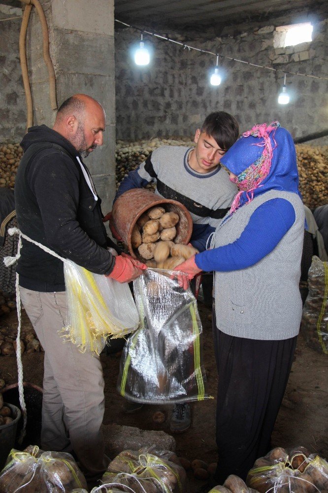 Bağcılar Belediyesi, Nevşehir’den 100 ton patates aldı