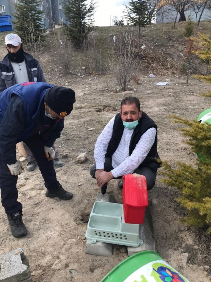 ’Bilinçli İnsanlar Atıksız Konutlar Projesi’ ekibinden sokak hayvanları için çalışma