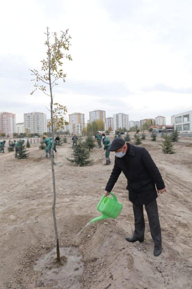Kocasinan’ın tarihine ışık tutan çınar ağaçlarıyla görsel zenginlik