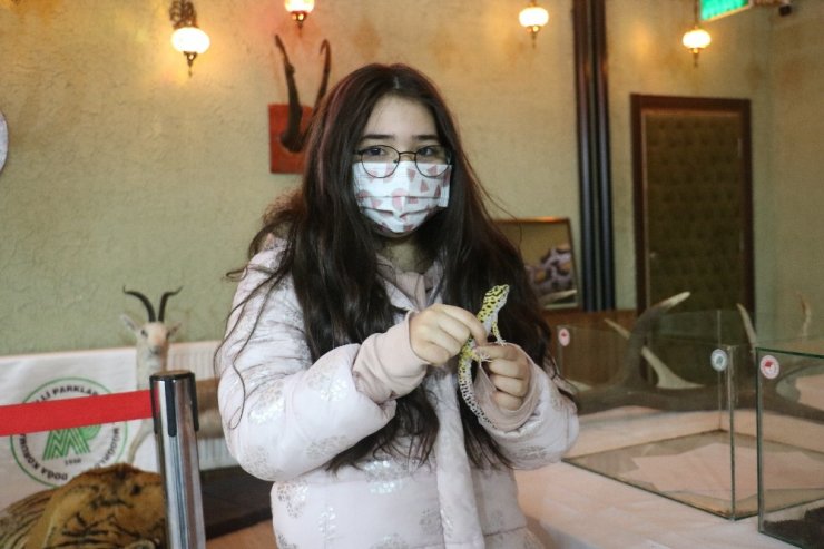 Evcilleştirdiği kurdu salonda sergiledi