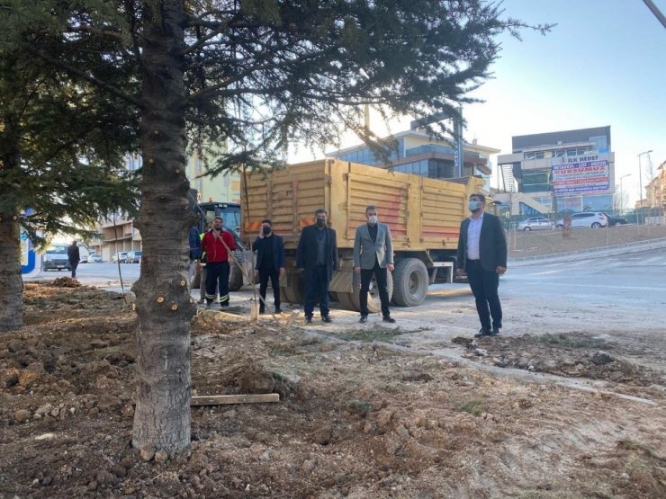 Pursaklar Belediyesi sökülen ağaçları yeni yerlerine taşıyor