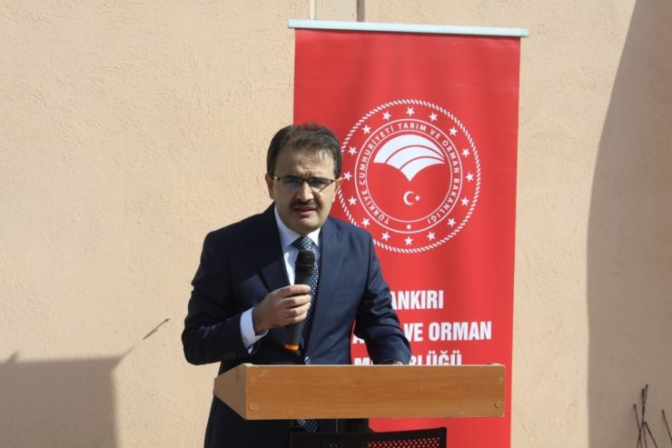 Çankırı’da 10 bin meyve fidanı toprakla buluşacak