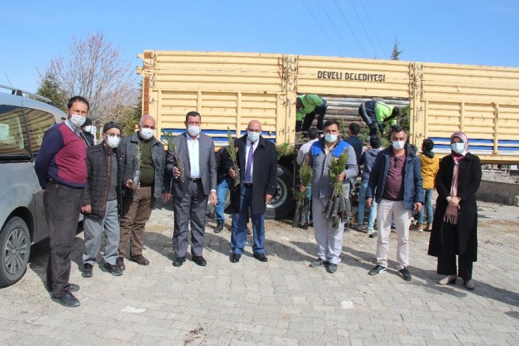 Develi’de 30 bin fidan dağıtıldı