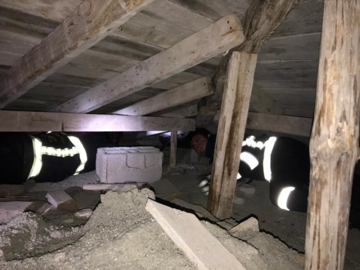 Çatı arasında 4 gündür mahsur kalan kedi kurtarıldı