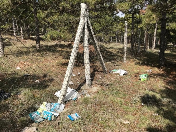 Ormanlık alana atılan çöpler görenleri tedirgin ediyor