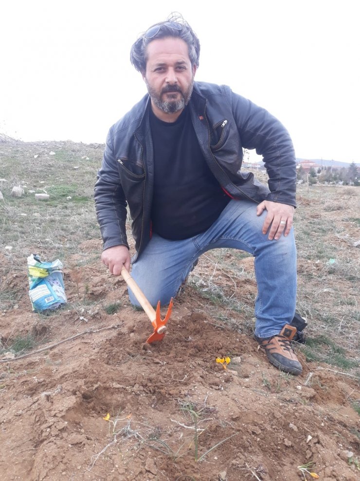 Polis memuru doğaya 3 bin 599 meşe ağacı fidanı dikti