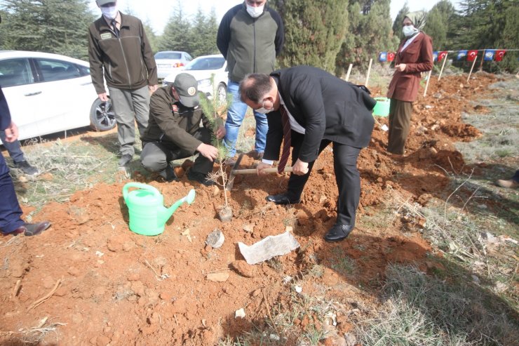 Beyşehir’de şehitler ve gaziler için orman fidanları toprakla buluşturuldu