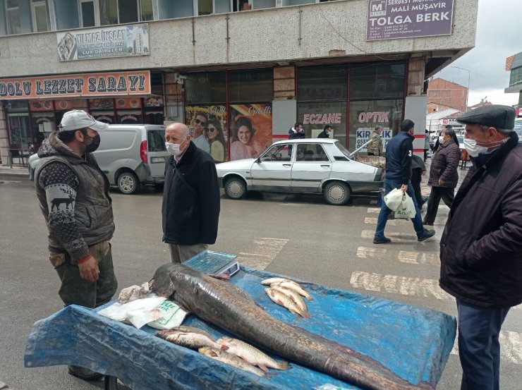 Kendi boyundan uzun balık yakaladı