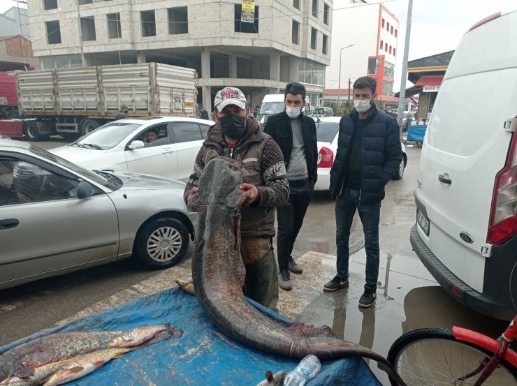 Kendi boyundan uzun balık yakaladı