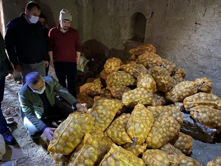 Niğde’den patatesler tırlarla farklı illere gönderiliyor