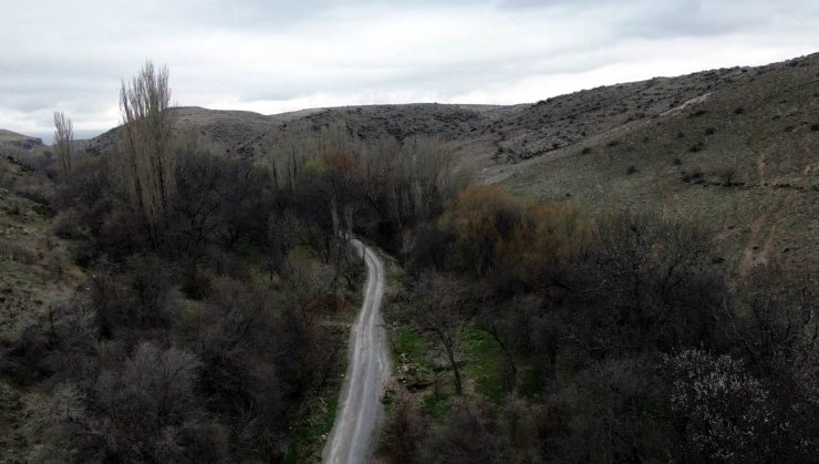 Koramaz Vadisi’nde ’bahar’ güzelliği