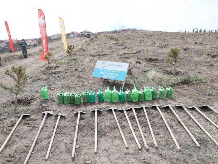 Kocasinan Belediyesi, yeşil hamle ile geleceğe nefes oluyor