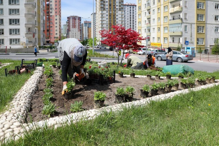 Dört bin yana 100 bin çiçek; Talas çiçek açıyor