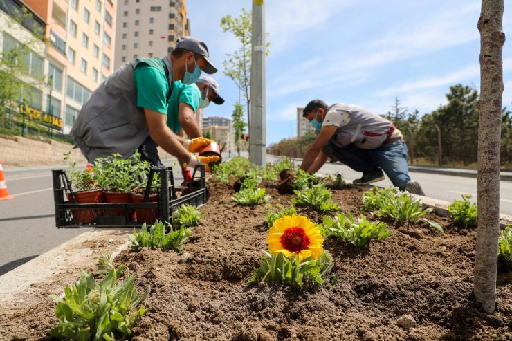 Dört bin yana 100 bin çiçek; Talas çiçek açıyor
