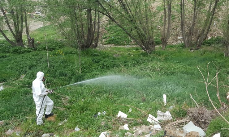 Çankaya’da bahar ilaçlaması