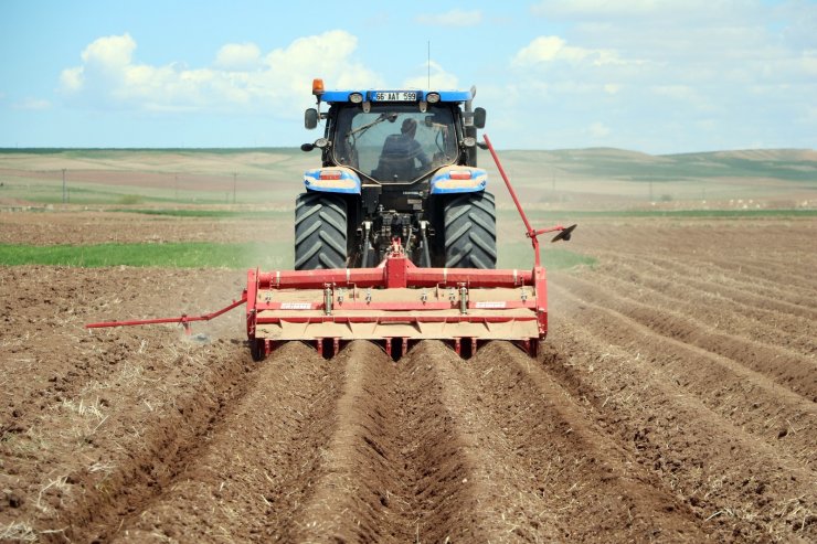 Yozgat’ta 7 çeşit yerli patates tohumu deneme ekimi yapıldı