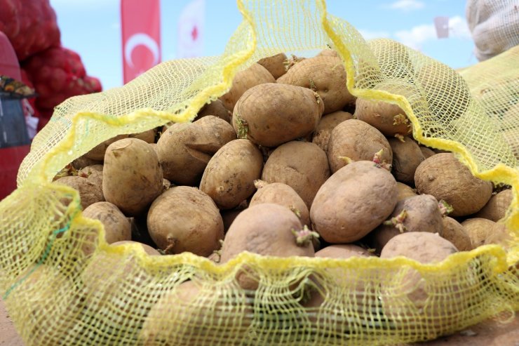 Yozgat’ta 7 çeşit yerli patates tohumu deneme ekimi yapıldı