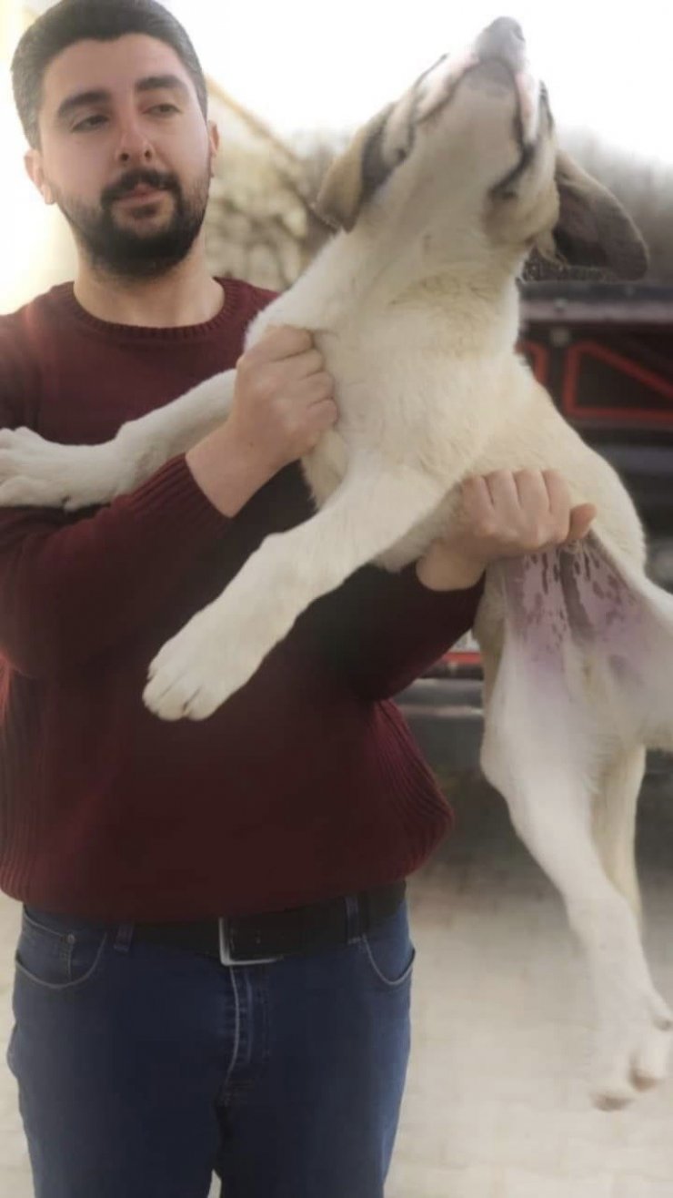 Kardeşinin bıçaklayarak öldürdüğü ağabeyden “Can alıcı gelmiş canım almaya’ paylaşımı