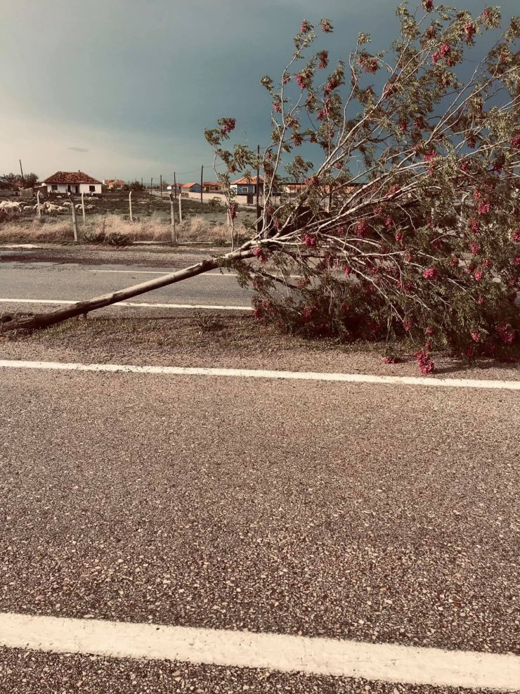 Konya’da şiddetli fırtına etkili oldu