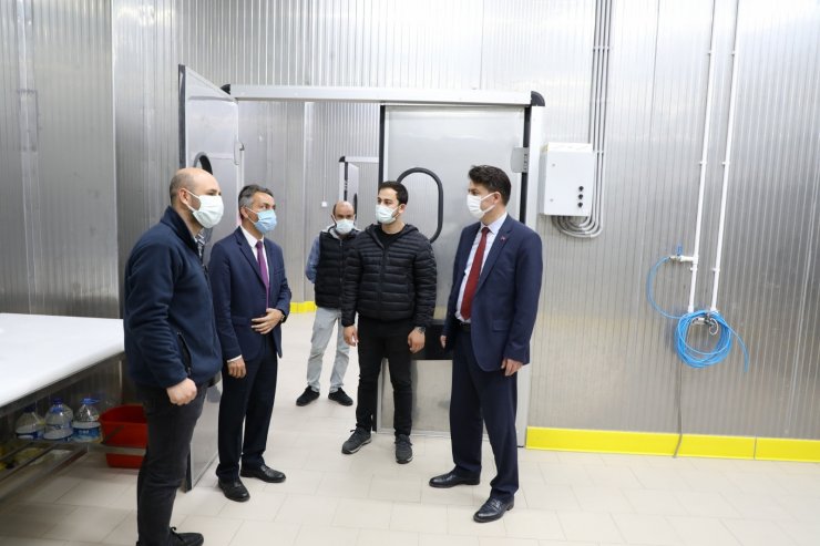 Bozan mahallesine yıllık 576 ton kapasiteli et entegre tesisi yapıldı