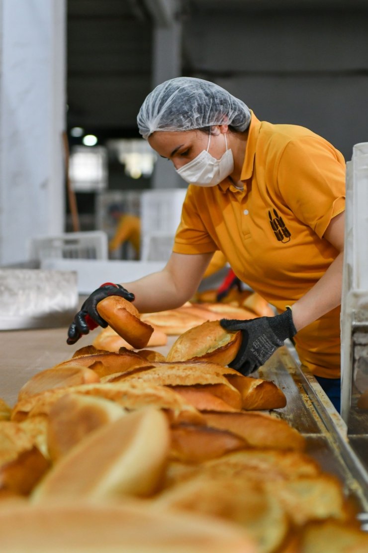 Ankara Büyükşehir Belediyesi Halk Ekmek Fabrikası’nda ekmek üretimi kadınlara emanet