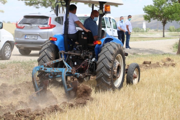 Çankırı’da tarlalar kuraklık sebebiyle erken hasat edilmeye başlandı