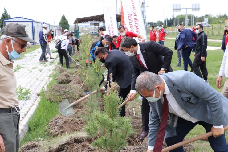 Gençlik Haftası’nda fidan dikim etkinliği