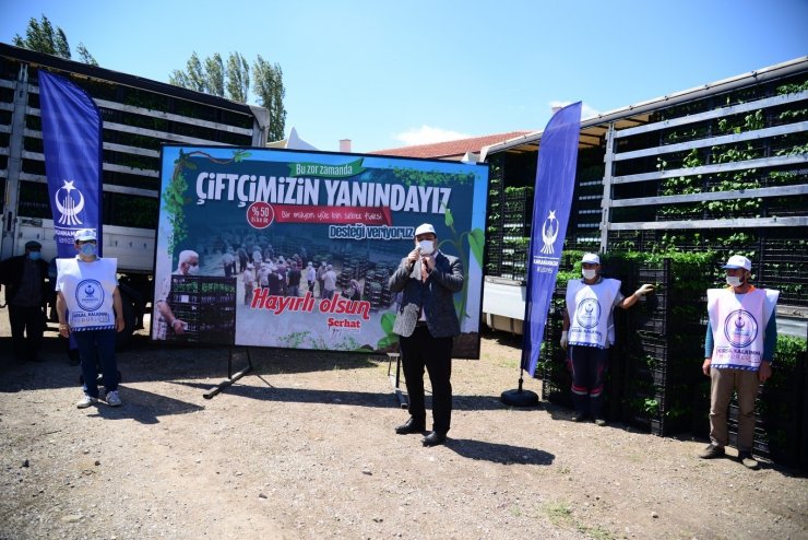 500 çiftçiye 1 milyon 200 bin sebze fidesi