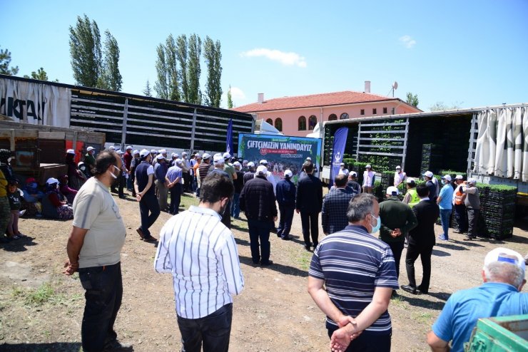 500 çiftçiye 1 milyon 200 bin sebze fidesi
