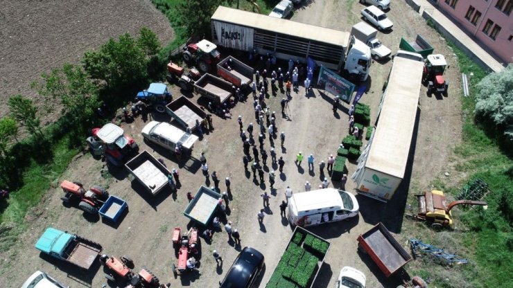 500 çiftçiye 1 milyon 200 bin sebze fidesi