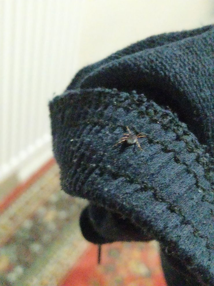 Kabus geri döndü, öldürücülüğü Covid’den yüksek