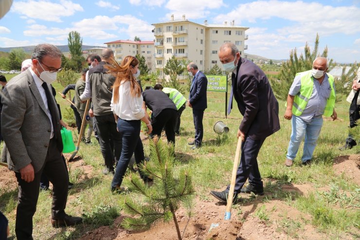 Covid-19 ’la mücadelenin kahramanlarına hatıra ormanı