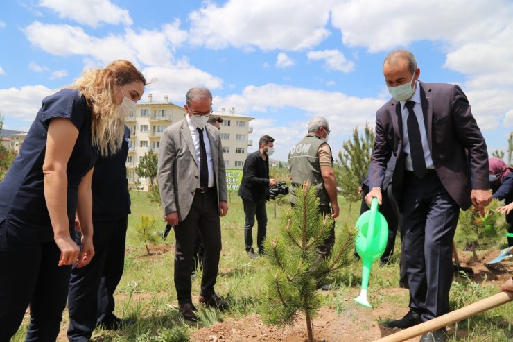 Covid-19 ’la mücadelenin kahramanlarına hatıra ormanı