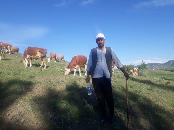 Sorgun’da kene paniği erken başladı