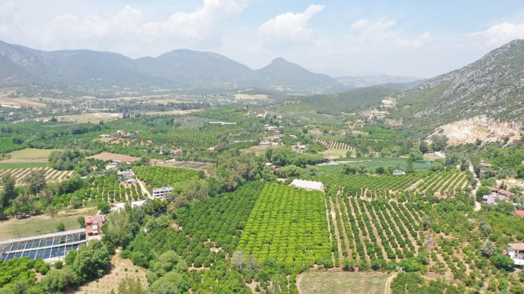 Hatay’da 2021 sulama sezonu başladı