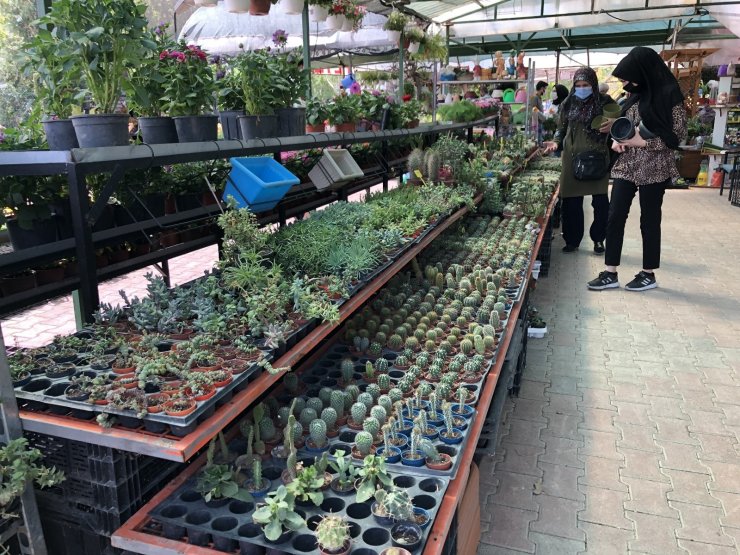 Pandemide doğaya ve bitki yetiştirmeye ilgi arttı
