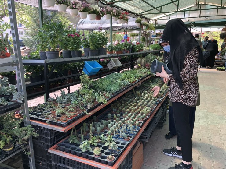 Pandemide doğaya ve bitki yetiştirmeye ilgi arttı