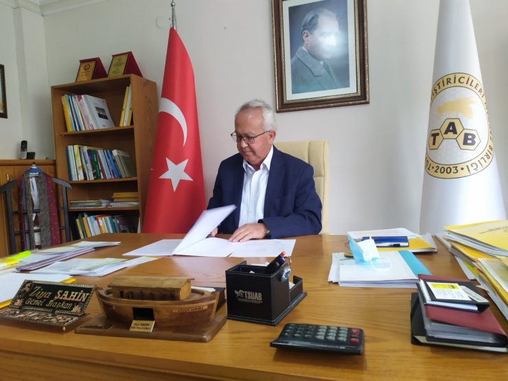 Türkiye Arıcılar Birliği Başkanı Şahin: “Eğer polinasyon olmazsa bizim ekosistemimiz çöker”